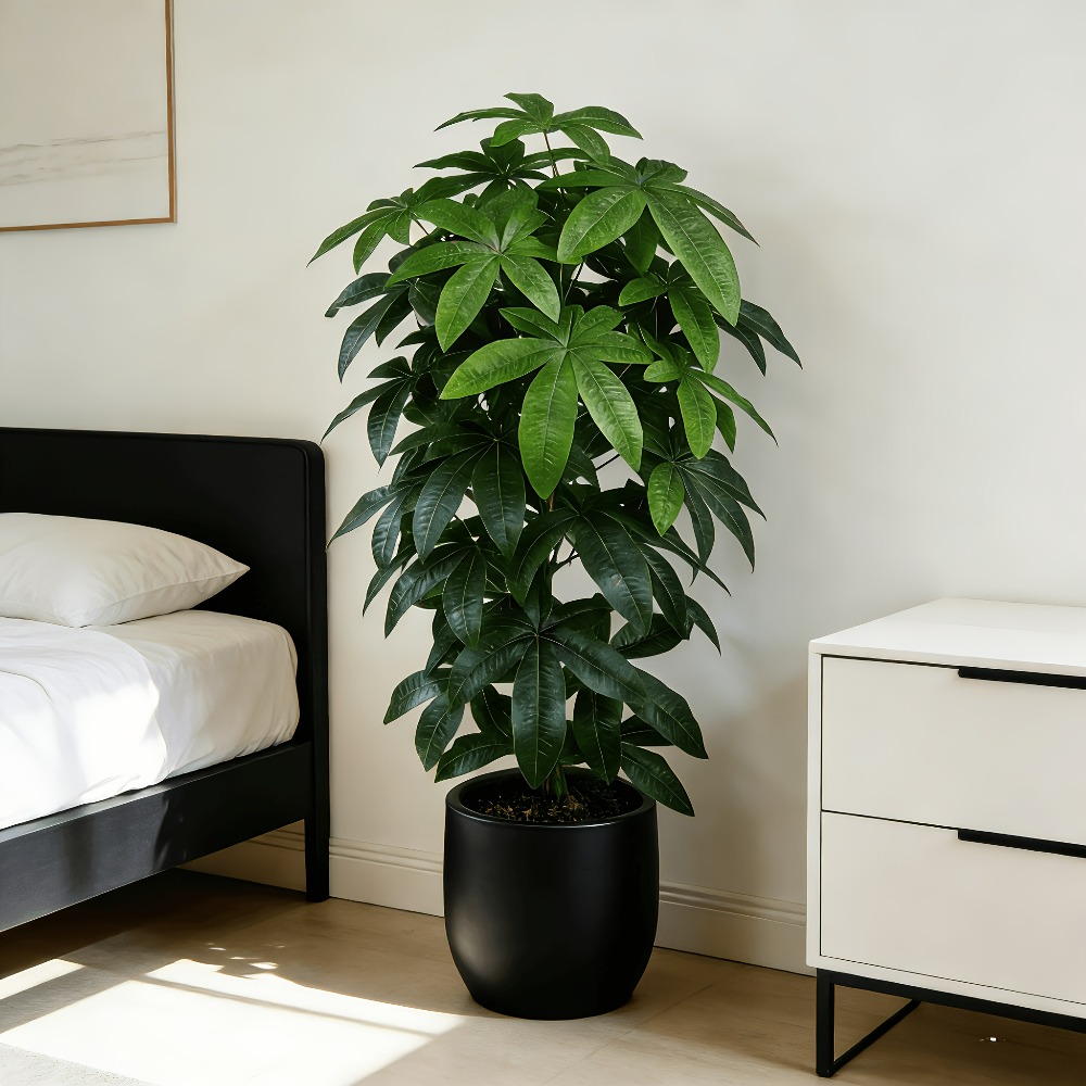 Snake Plant - Искусственное денежное дерево Пачира Акватика с