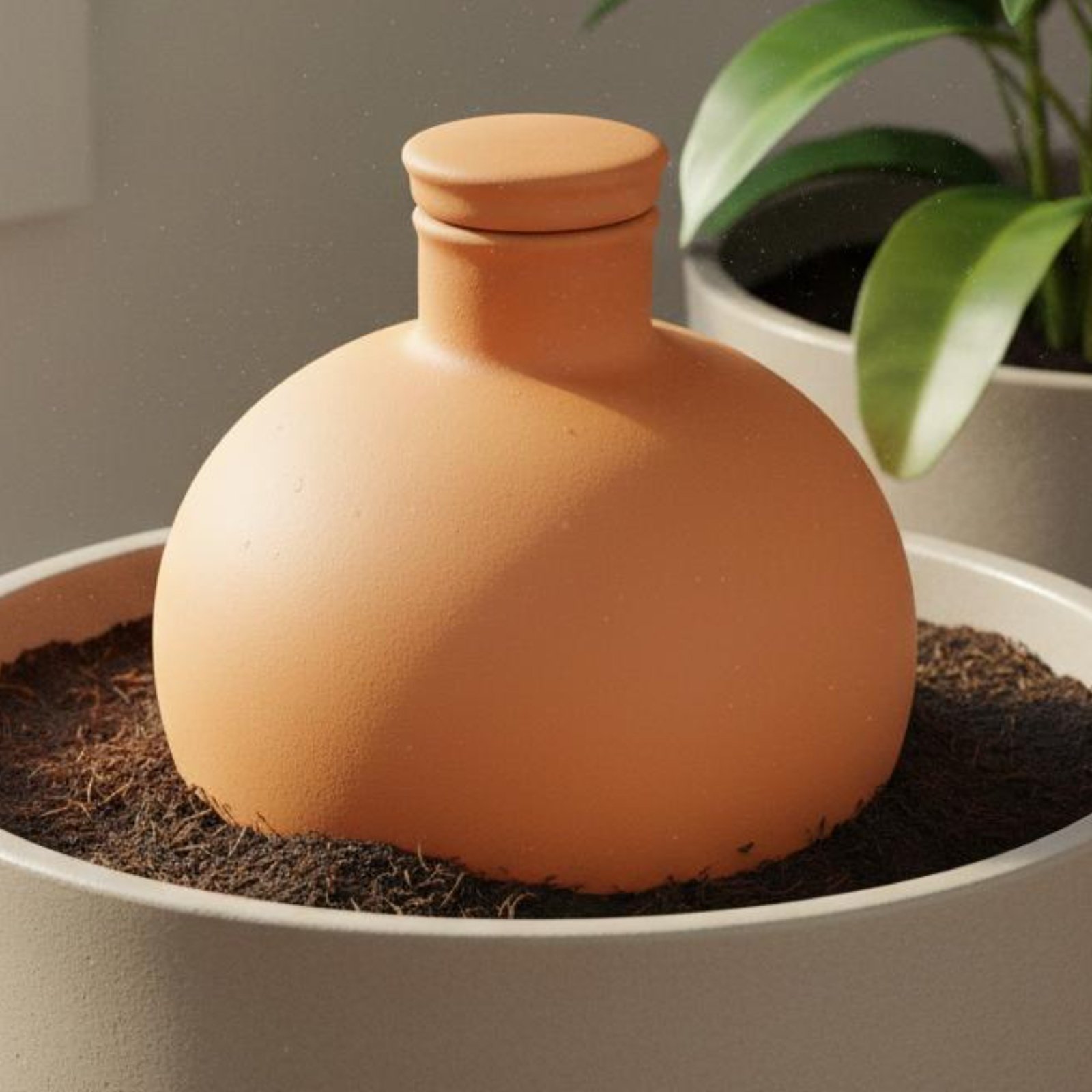 2 штуки терракотовых горшков-о – обзор и цена Terracotta Pot