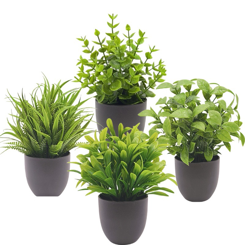 Искусственное зеленое растение – обзор и цена Succulent Set